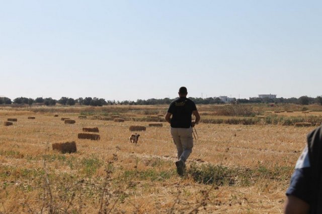 Αγωνες Α.Κ.Ι 11/6/2017